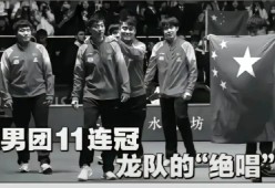 电竞国家队强势横扫马龙晋级半决赛，状态火热！的简单介绍-九游娱乐app