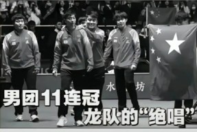 电竞国家队强势横扫马龙晋级半决赛，状态火热！的简单介绍-九游娱乐app